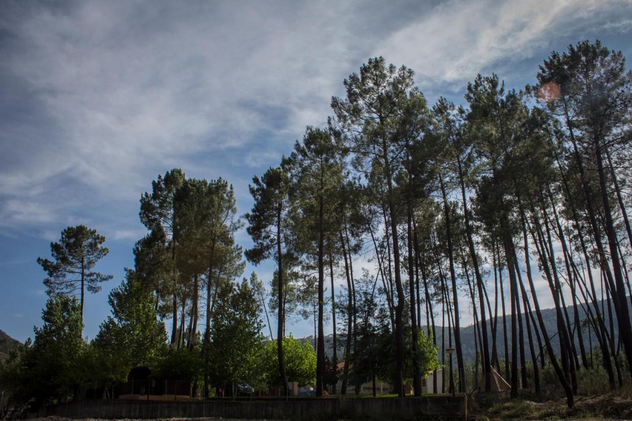 Xisto Camping Janeiro de Baixo Exterior foto